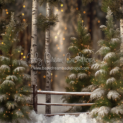 Pretty Little Pines (JA)