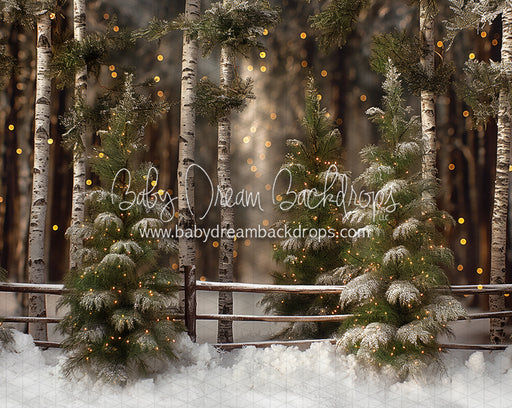 Pretty Little Pines (JA)