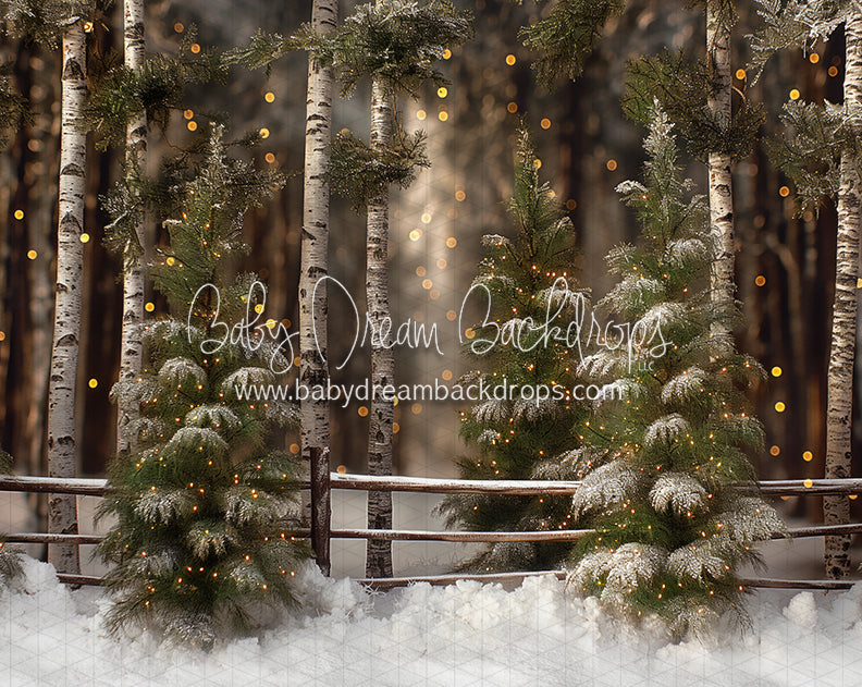 Pretty Little Pines (JA)