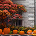 Pumpkin Entrance Side Wall 24 (VR)