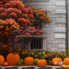 X Drop Pumpkin Entrance Side Wall 24 (VR)