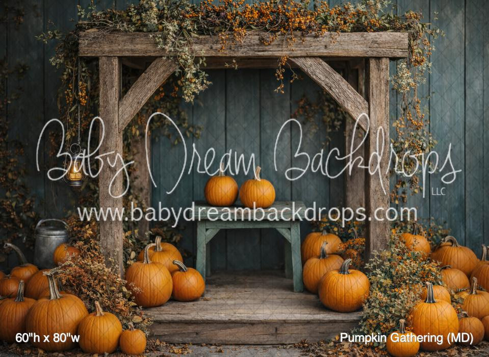 Pumpkin Gathering (MD)