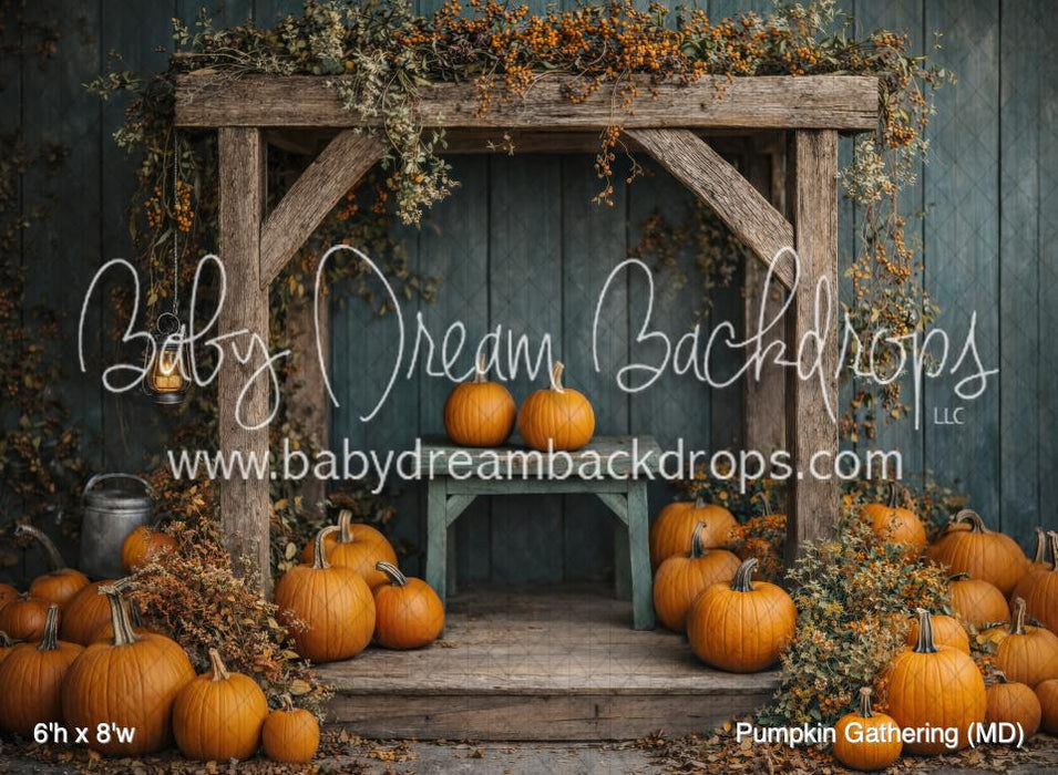 Pumpkin Gathering (MD)