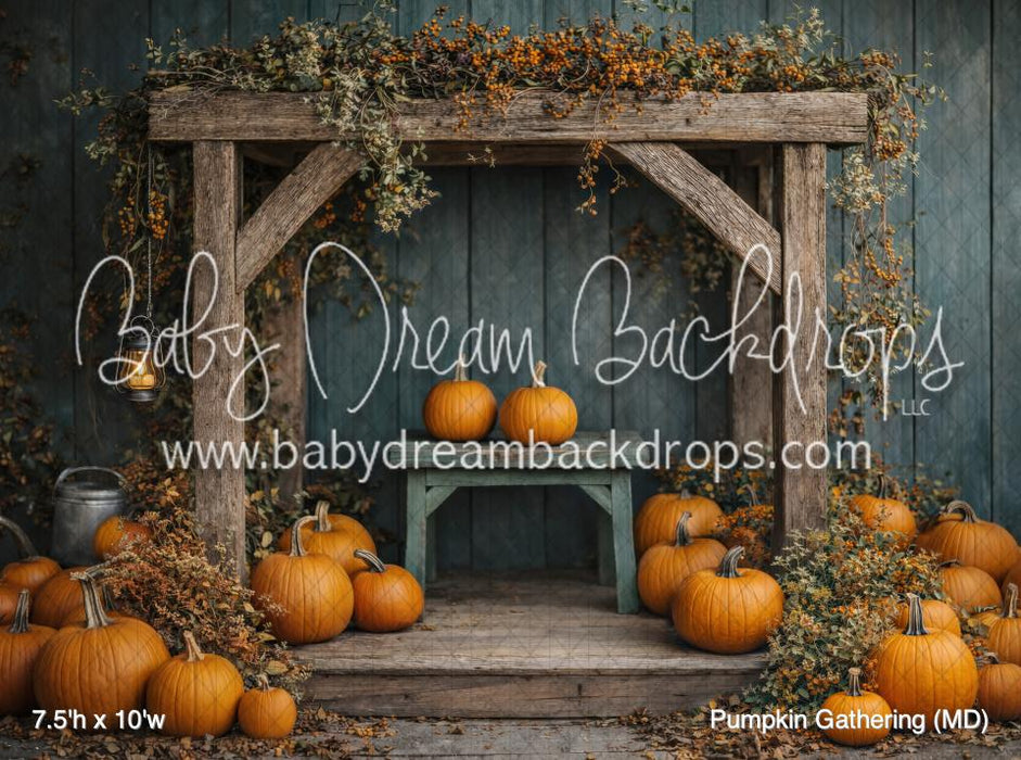 Pumpkin Gathering (MD)