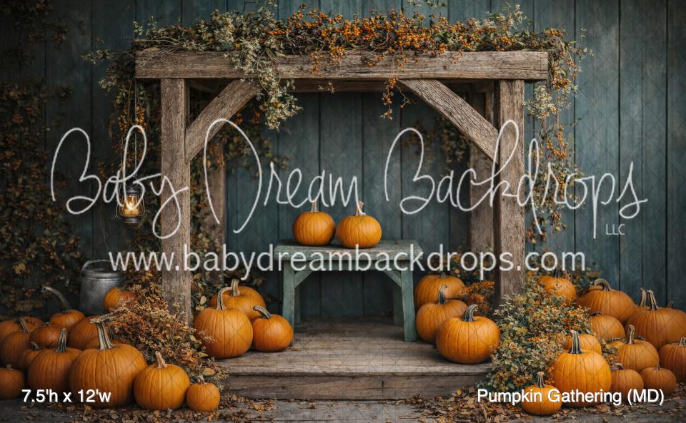 Pumpkin Gathering (MD)