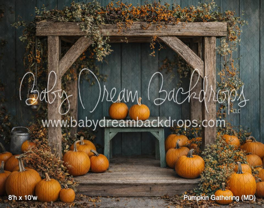 Pumpkin Gathering (MD)