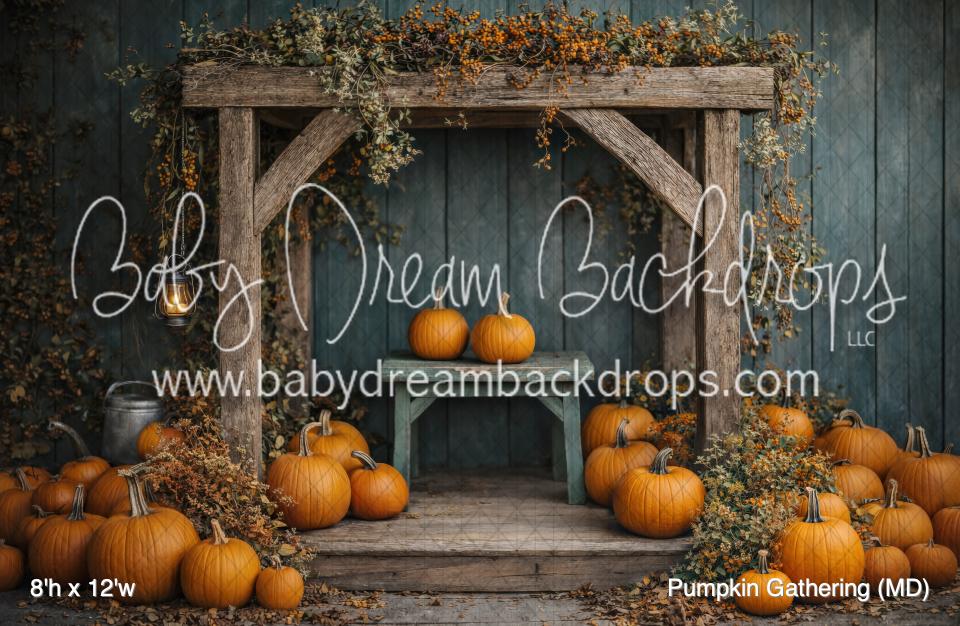Pumpkin Gathering (MD)