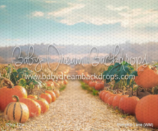 Pumpkin Lane (WM)