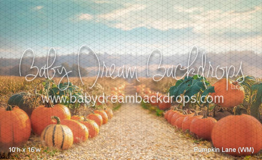 Pumpkin Lane (WM)
