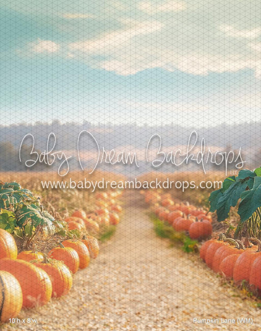 Pumpkin Lane (WM)