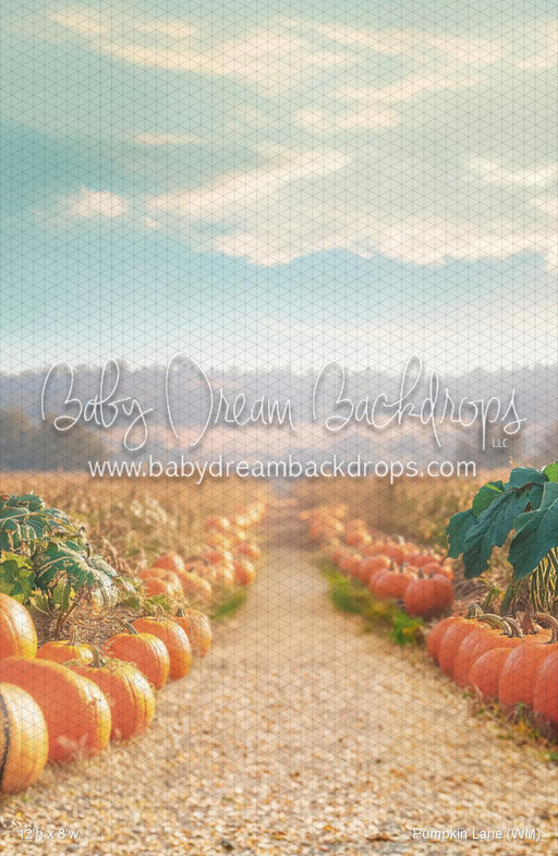 Pumpkin Lane (WM)