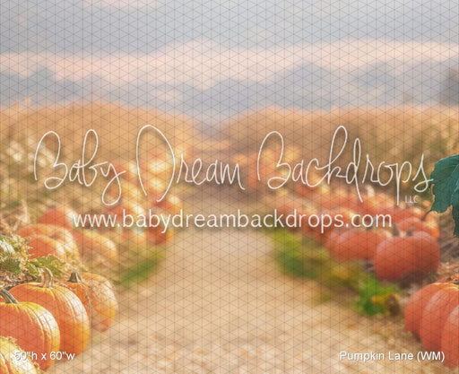 Pumpkin Lane (WM)
