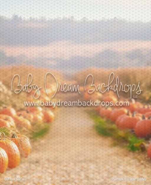 Pumpkin Lane (WM)