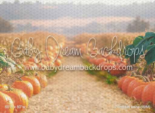 Pumpkin Lane (WM)