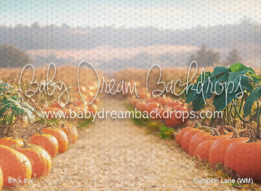 Pumpkin Lane (WM)