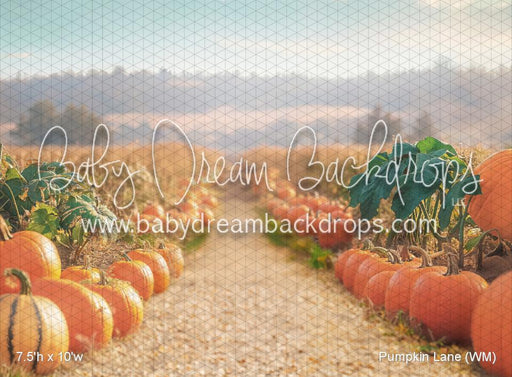 Pumpkin Lane (WM)