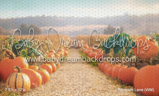 Pumpkin Lane (WM)