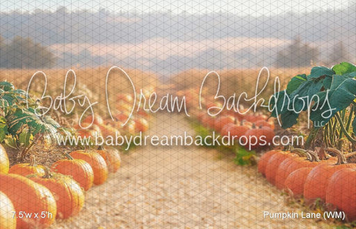Pumpkin Lane (WM)