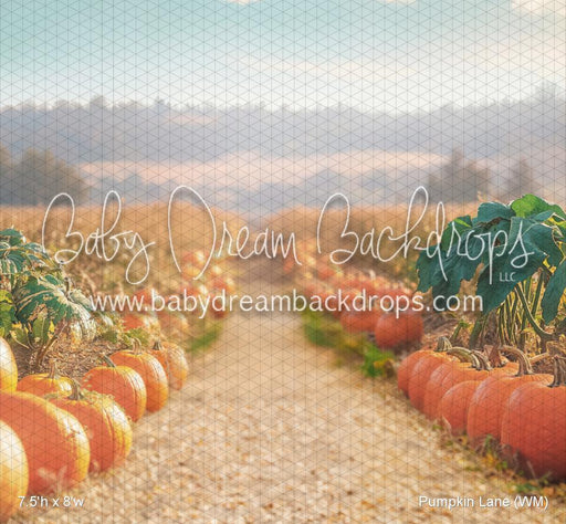 Pumpkin Lane (WM)