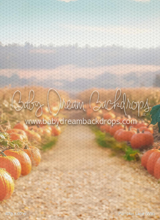 Pumpkin Lane (WM)
