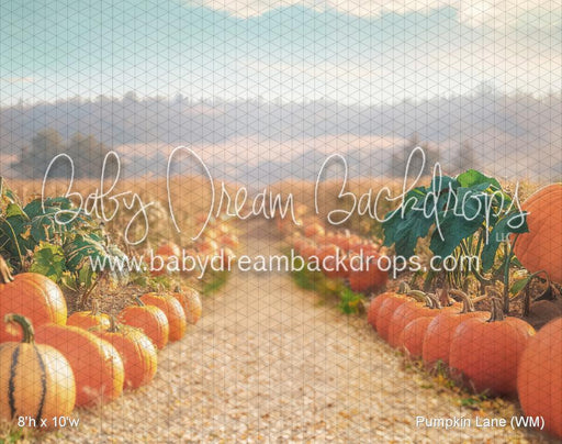 Pumpkin Lane (WM)