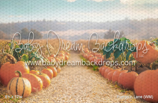 Pumpkin Lane (WM)