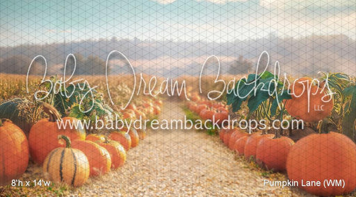 Pumpkin Lane (WM)