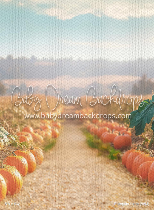 Pumpkin Lane (WM)