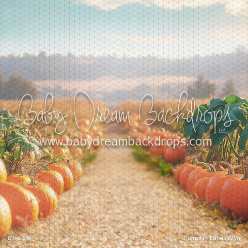Pumpkin Lane (WM)