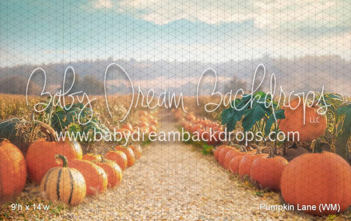 Pumpkin Lane (WM)