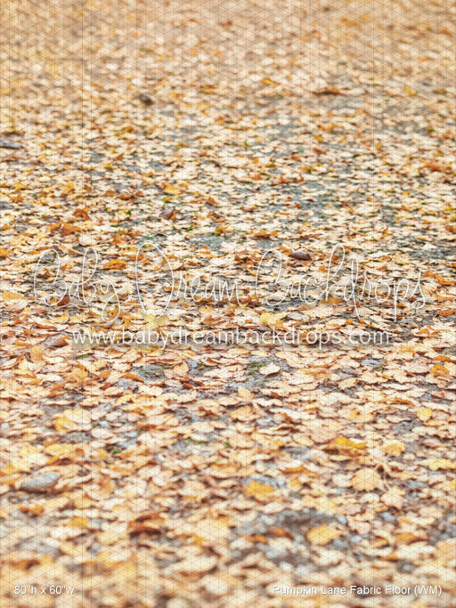 Pumpkin Lane Fabric Floor (WM)