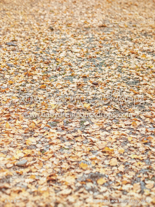 Pumpkin Lane Fabric Floor (WM)