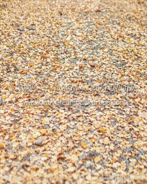 Pumpkin Lane Fabric Floor (WM)