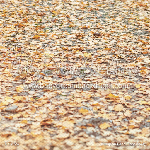 Pumpkin Lane Floor (WM)