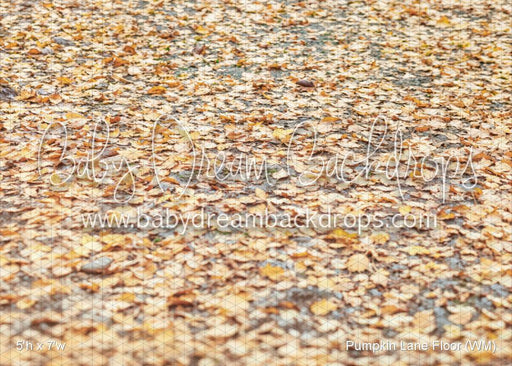 Pumpkin Lane Floor (WM)