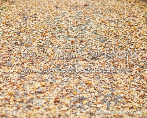 Pumpkin Lane Fabric Floor (WM)