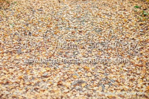 Pumpkin Lane Floor (WM)