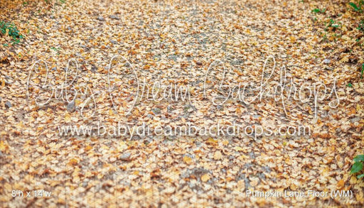 Pumpkin Lane Floor (WM)