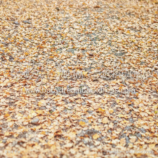 Pumpkin Lane Floor (WM)