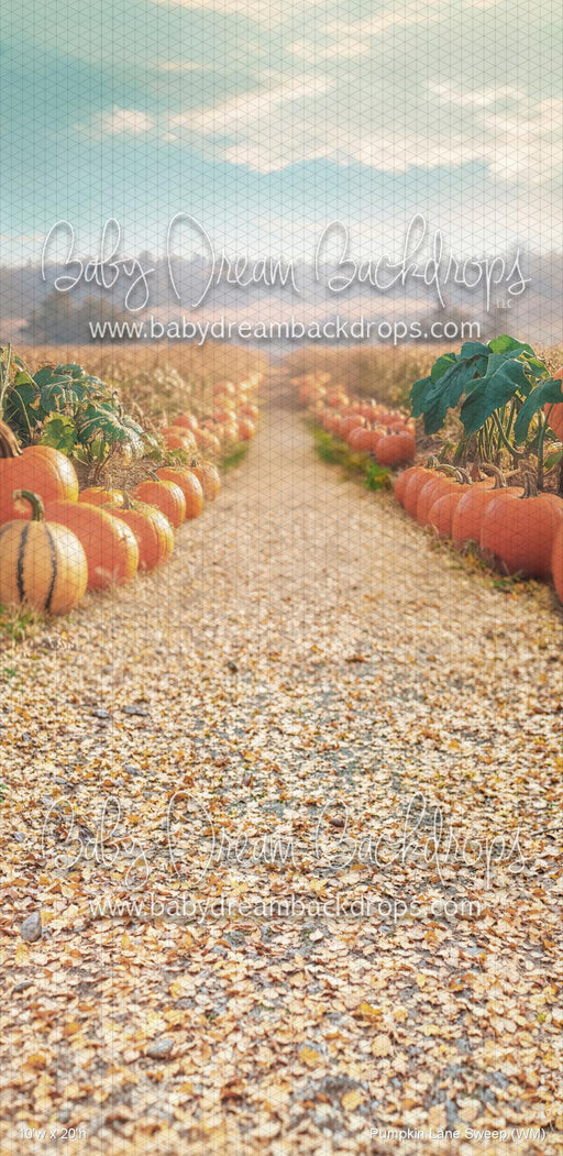 Pumpkin Lane Sweep (WM)