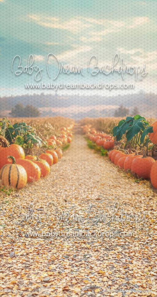 Pumpkin Lane Sweep (WM)