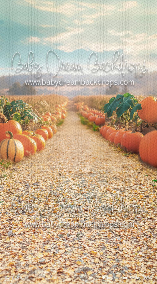 Pumpkin Lane Sweep (WM)