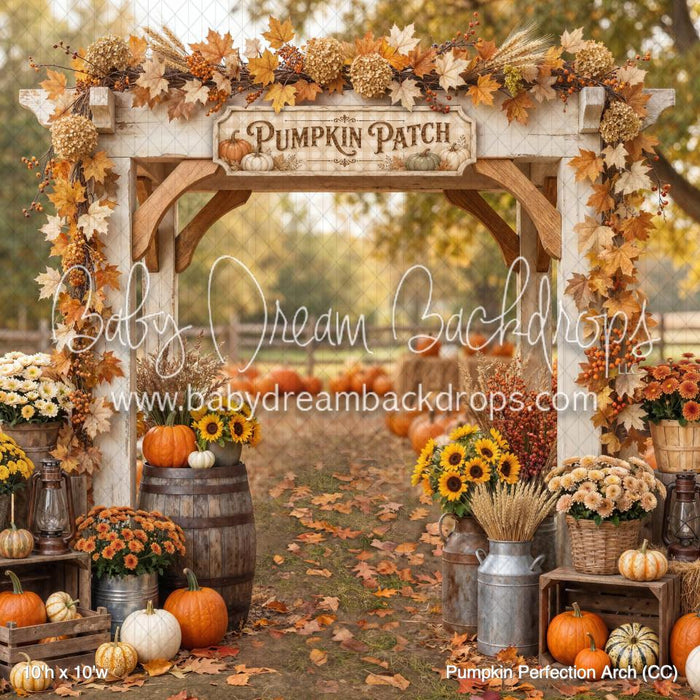 Pumpkin Perfection Arch (CC)