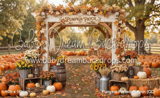 Pumpkin Perfection Arch (CC)