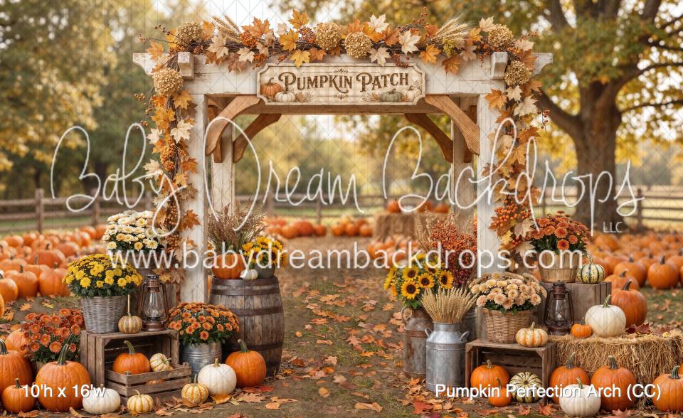 Pumpkin Perfection Arch (CC)
