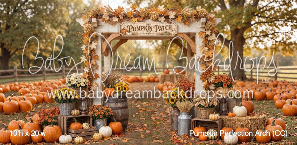 Pumpkin Perfection Arch (CC)