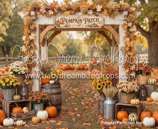 Pumpkin Perfection Arch (CC)