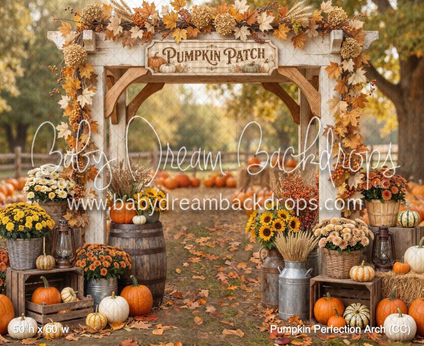 Pumpkin Perfection Arch (CC)