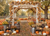 Pumpkin Perfection Arch (CC)