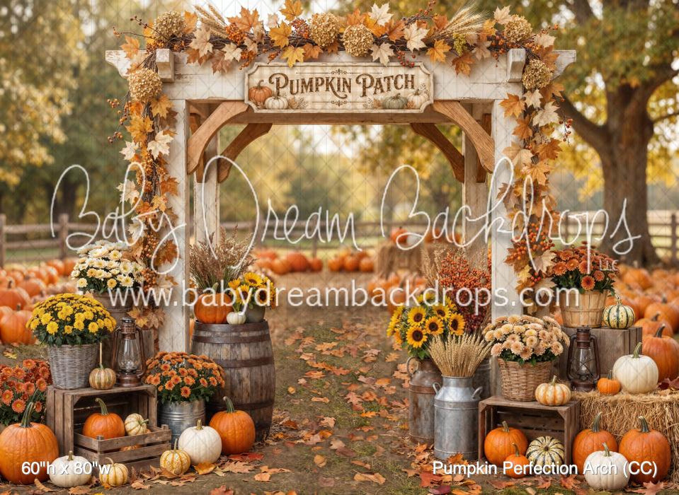 Pumpkin Perfection Arch (CC)